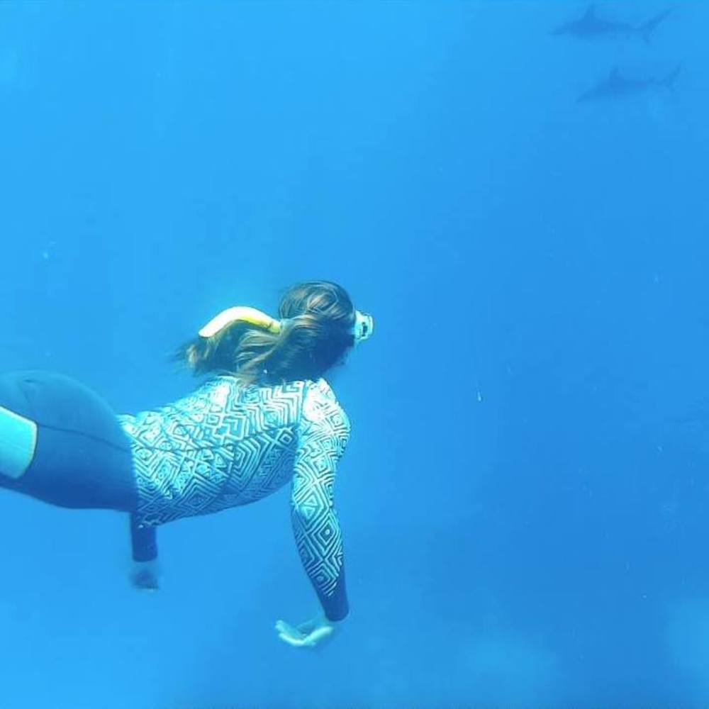 Meet your Posher, Joe